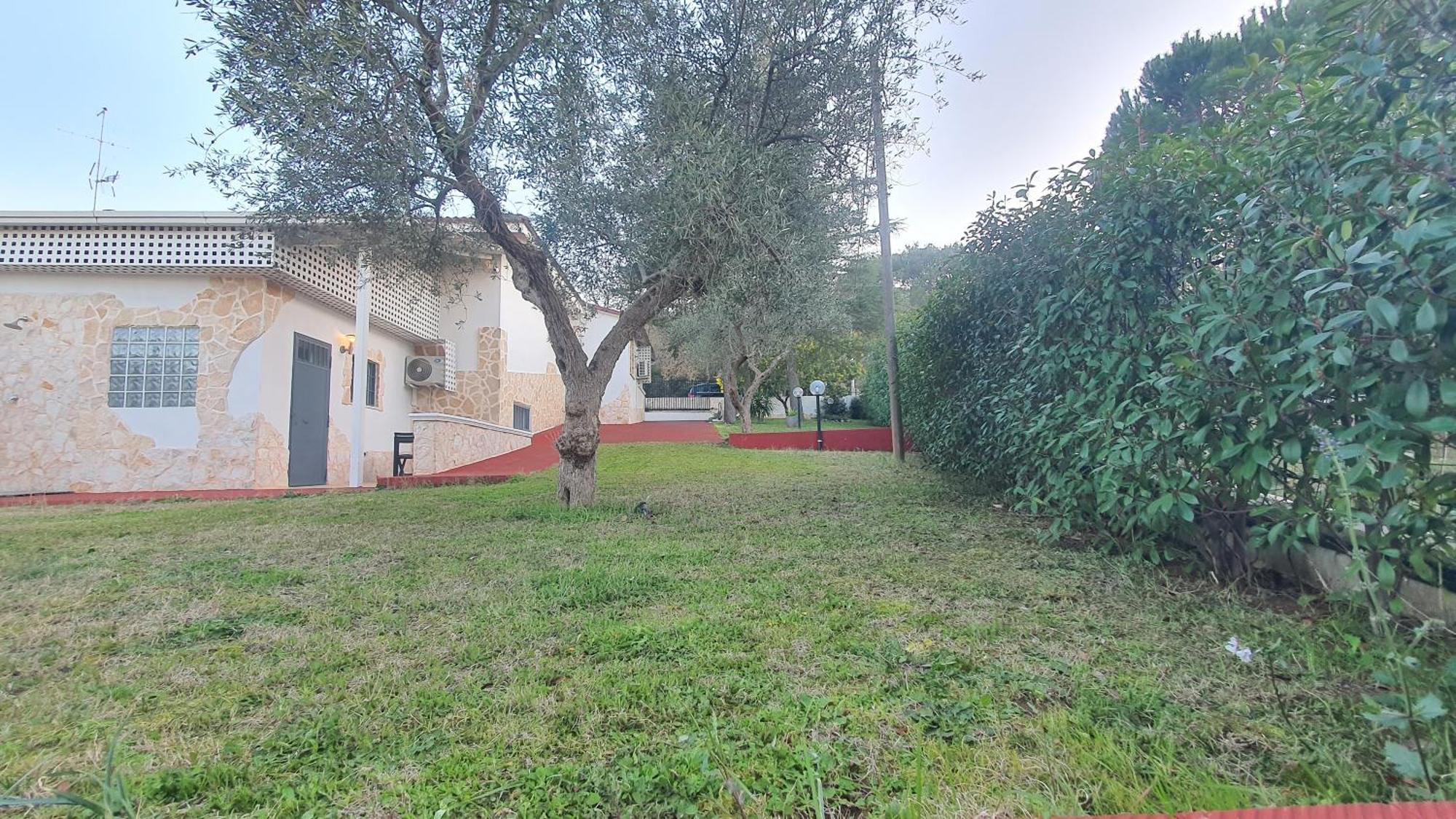 Mercadante - Luxury Holiday House Cassano delle Murge Exterior foto